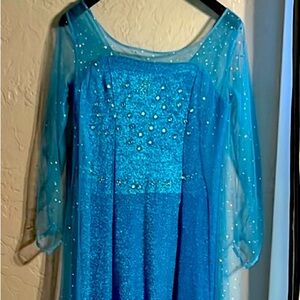 Elsa Halloween dress size large.